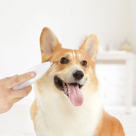 Pawbby MG-FP001 Pet Hair Trimmer